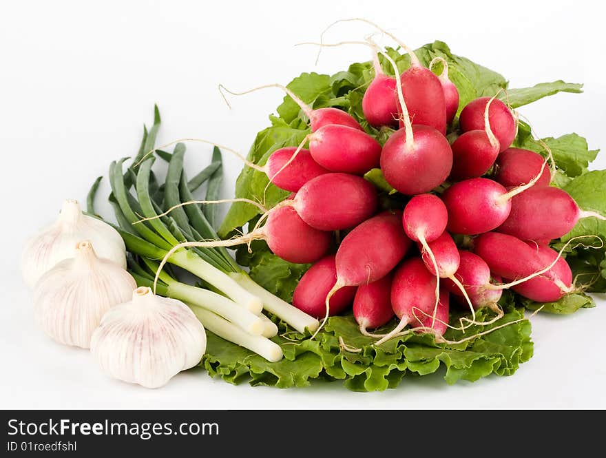 Spring onions, garlic, lettuce and radish bunch on the white background