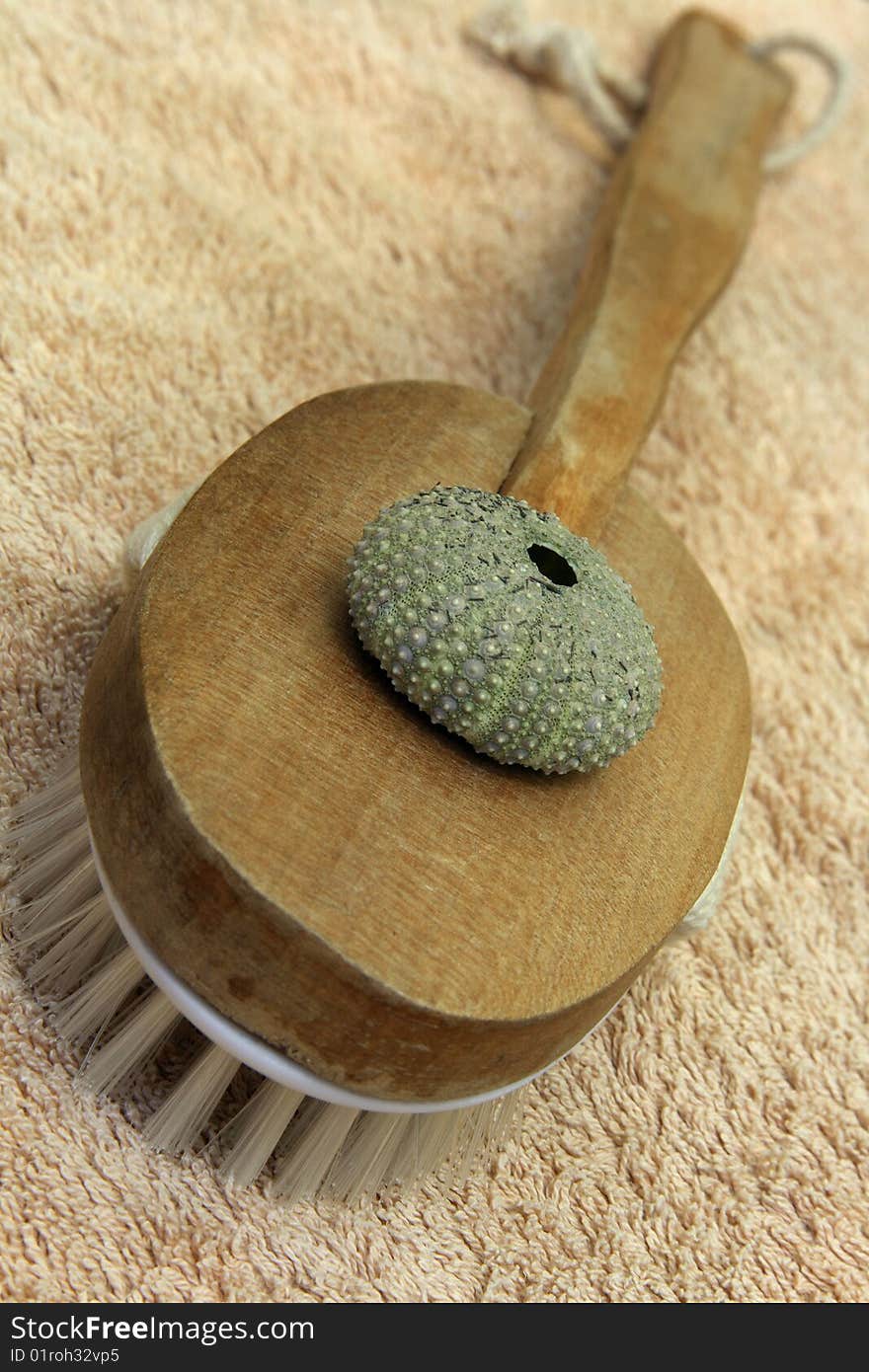 Sea urchin case and brush on bath towel. Sea urchin case and brush on bath towel