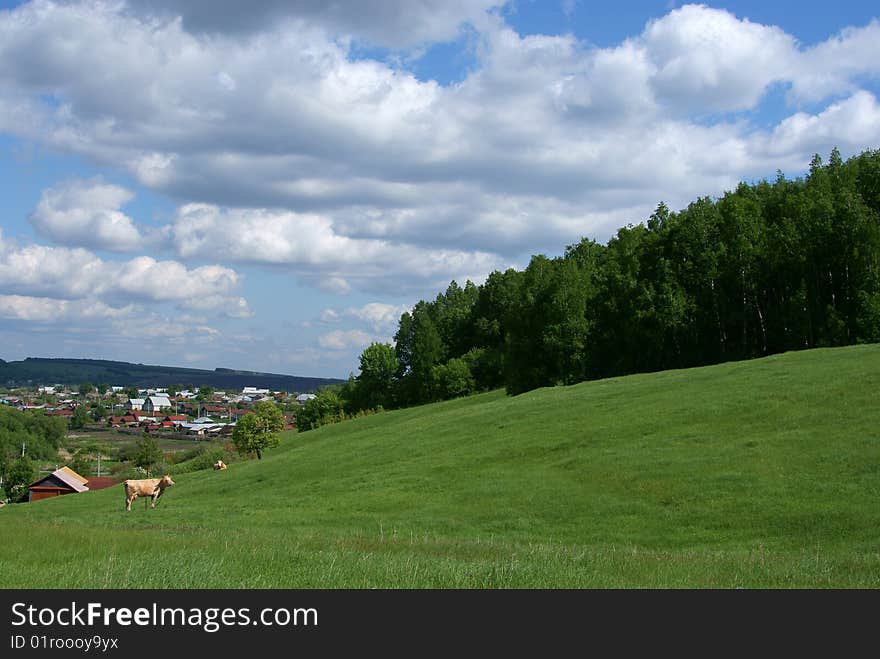 Rural landscape