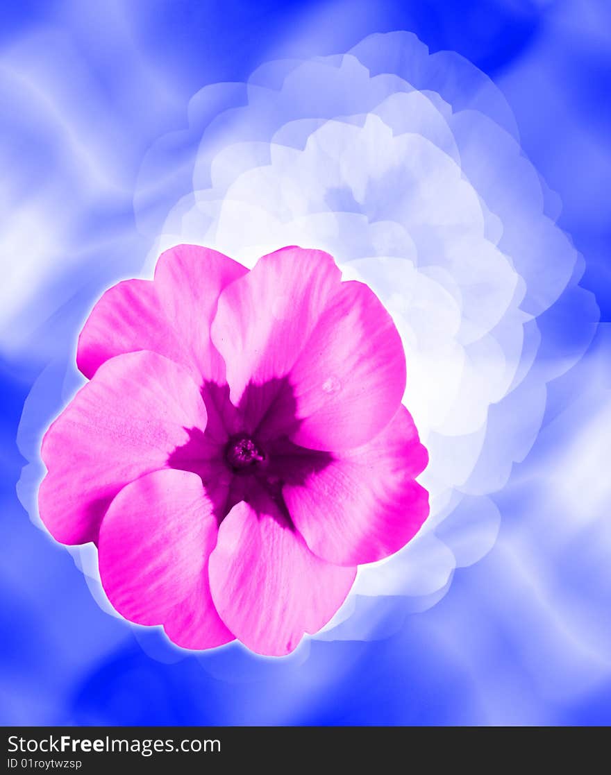 Fantasy - stylized pink flower on blue background. Fantasy - stylized pink flower on blue background