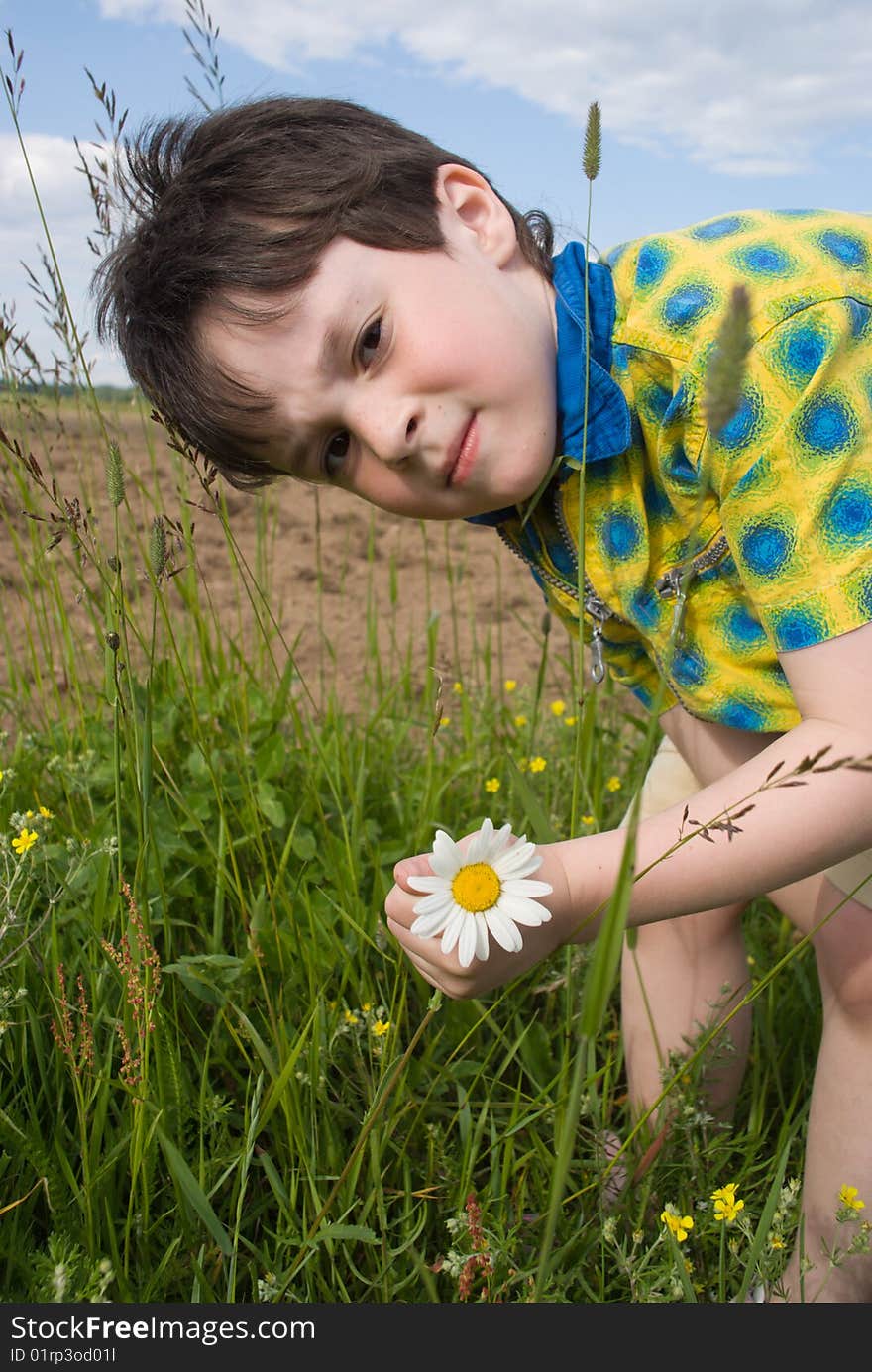 The boy with chamomille in the hand