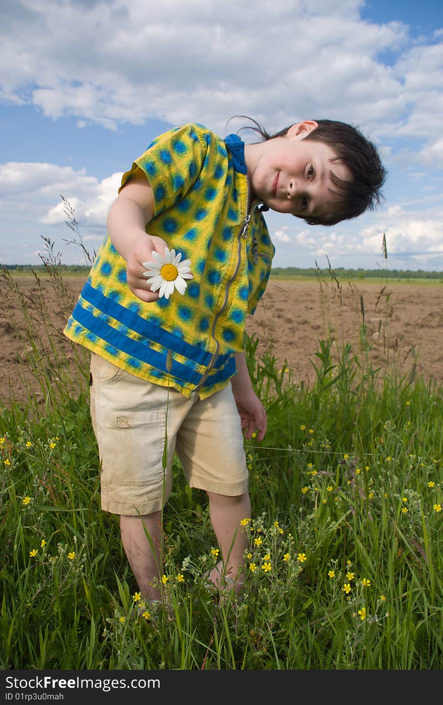 The boy with chamomille in the hand