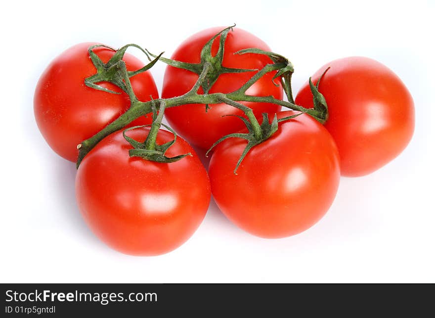 The branch with red tomatoes