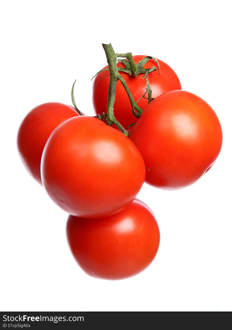 The Branch With Red Tomatoes