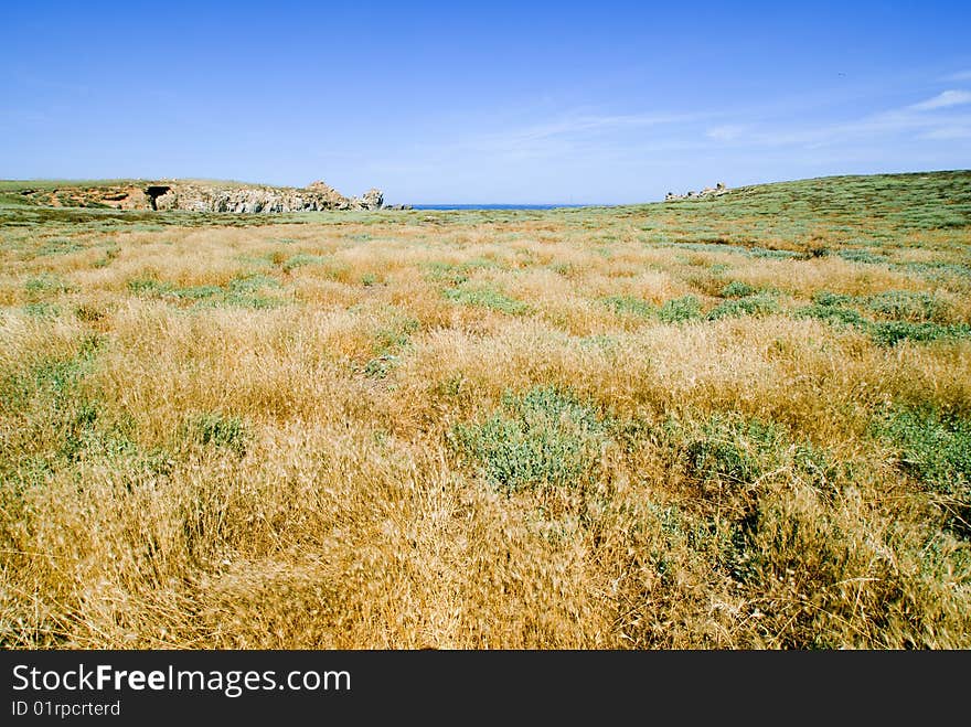 Deserted Island