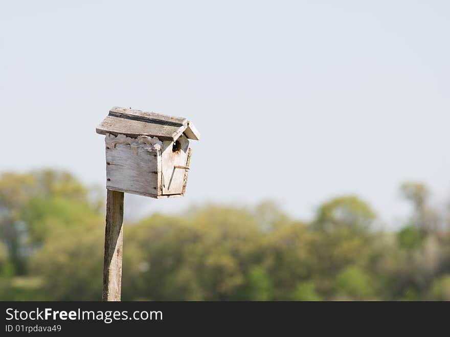 Small bird house atop a pole with the background out of focus