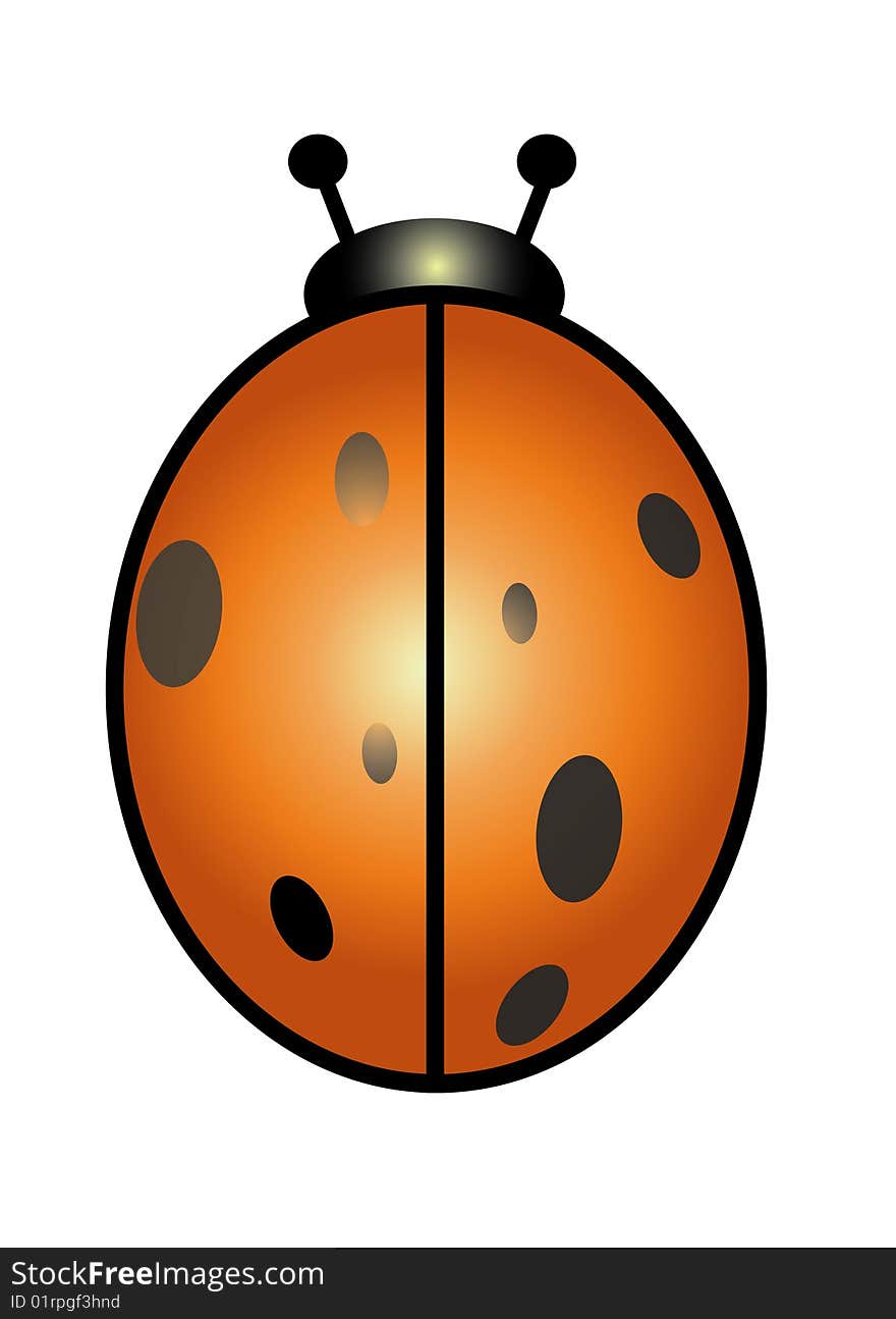 ladybird