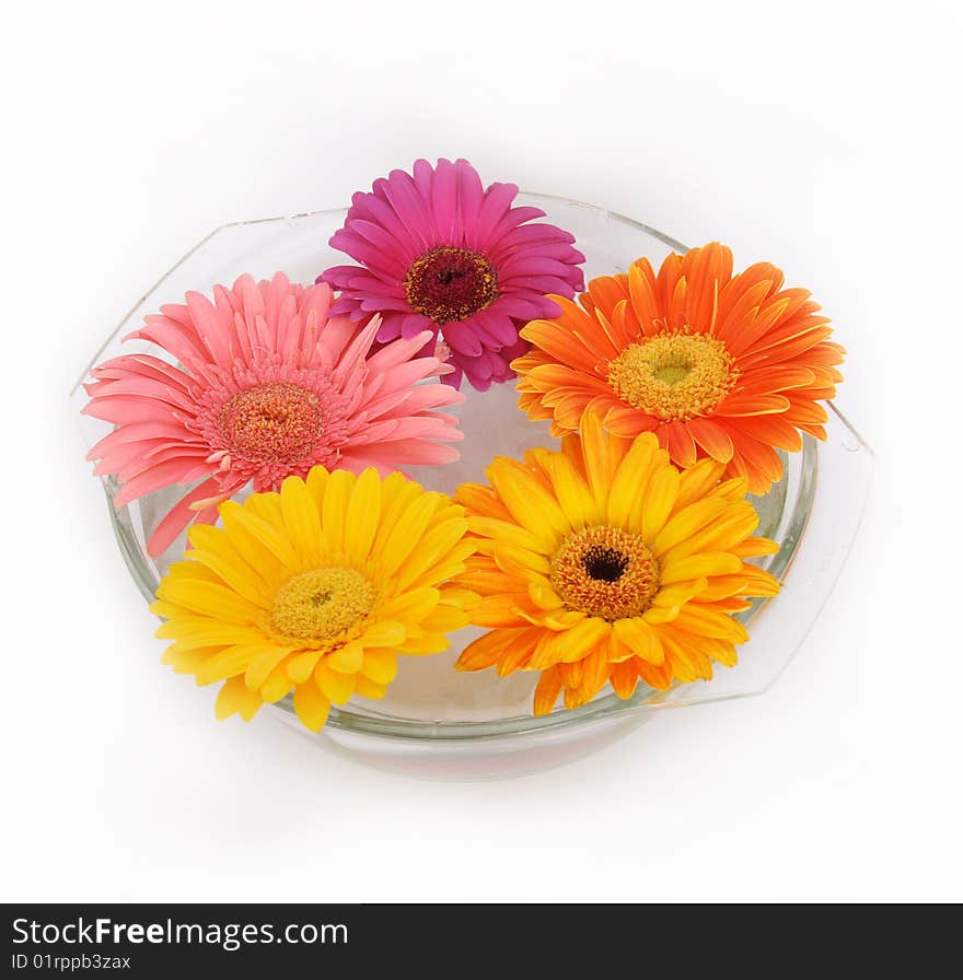 Flowers of gerber in glass isolated on white. Flowers of gerber in glass isolated on white