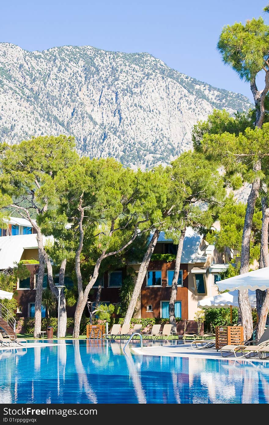 Swimming pool on a sunny day