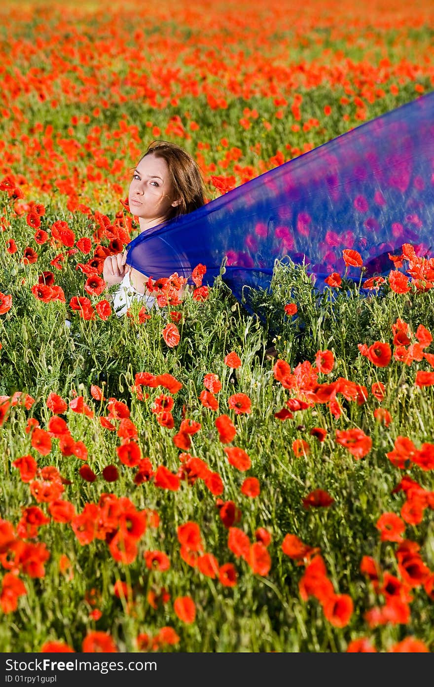 Sensual girl in the poppy field