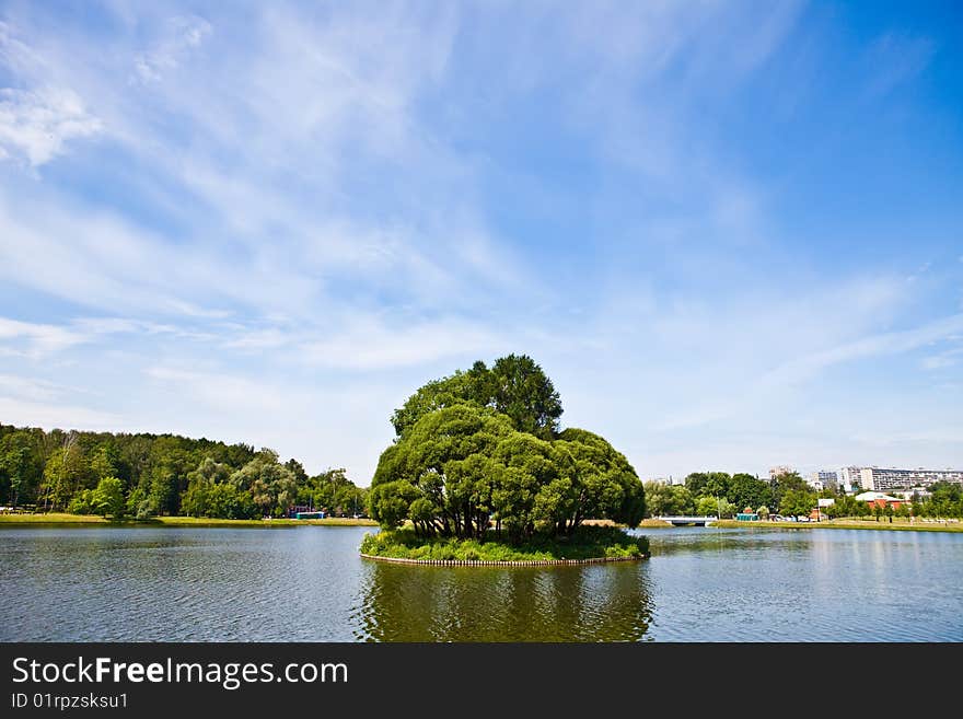 Beautiful landscape in city park