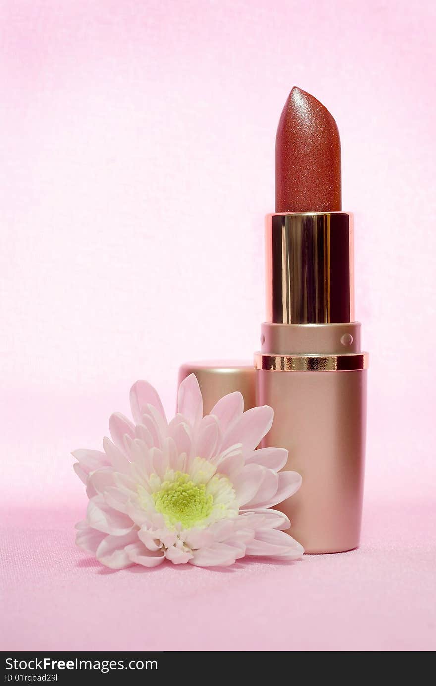 Lipstick And Chrysanthemum