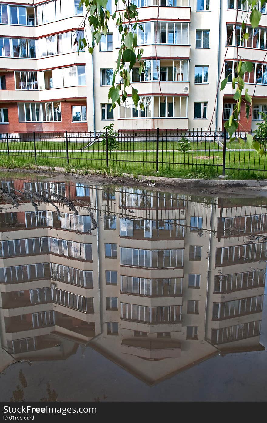 Reflection in a puddle