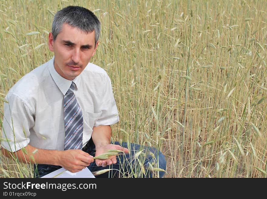 Man inspecting the wheat