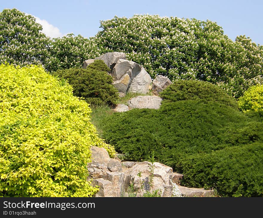 Stone and trees