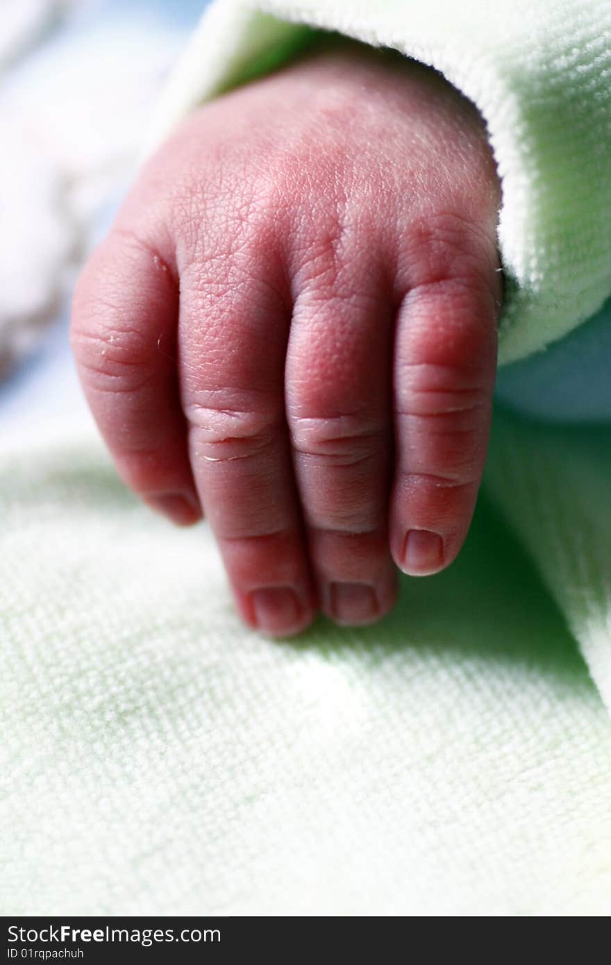 Close view of the hand of a newborn baby. Close view of the hand of a newborn baby.