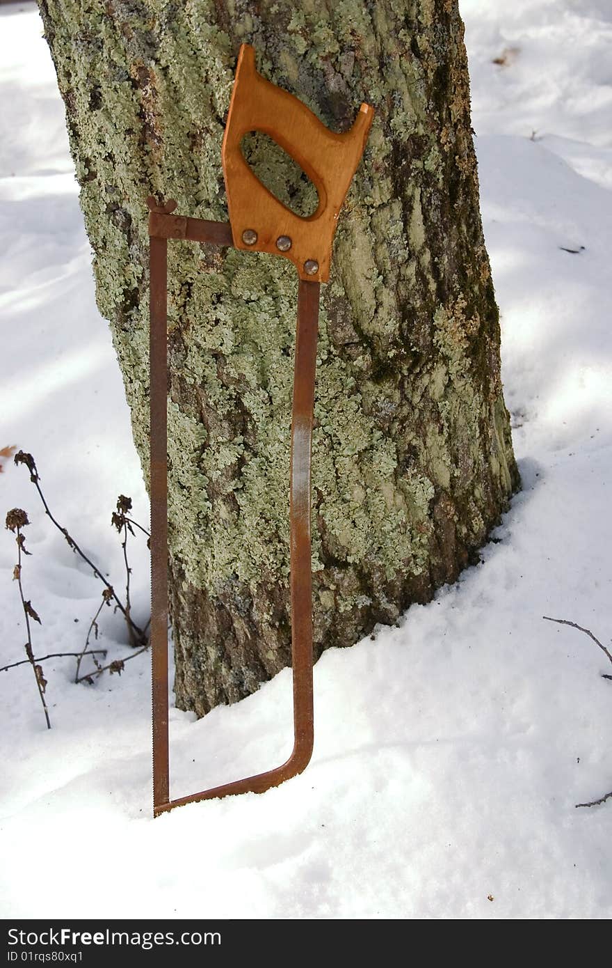 An old rusty saw leaning against a tree. An old rusty saw leaning against a tree