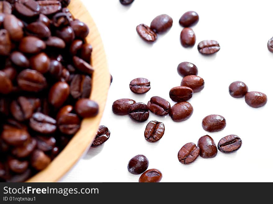 Fresh Coffee Bean Series 02