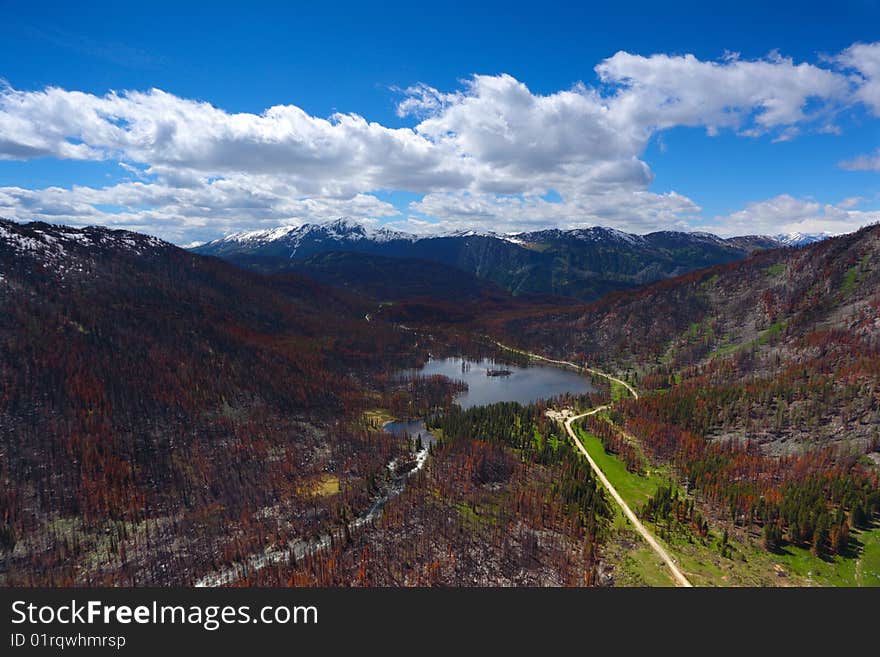 Mountain lake and wood after a fire