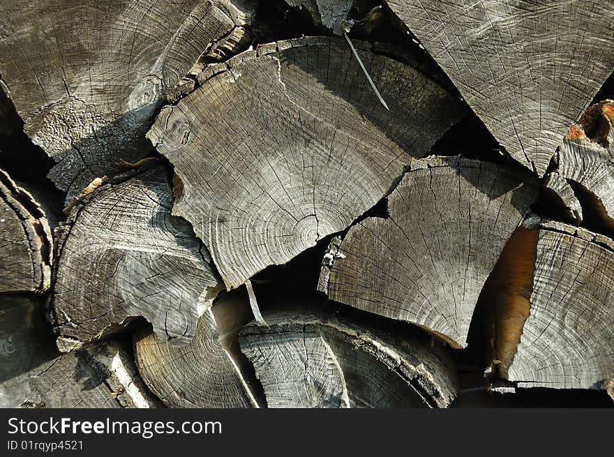 Texture of old log of wood. Texture of old log of wood