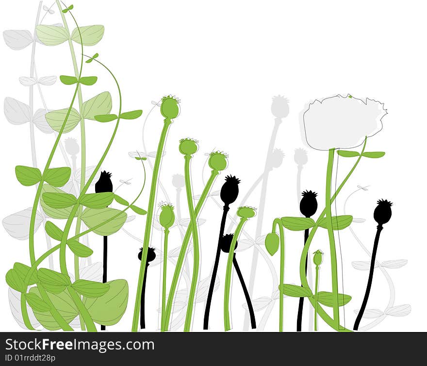 Field Under Of Corn Poppy And Grass And Cereals