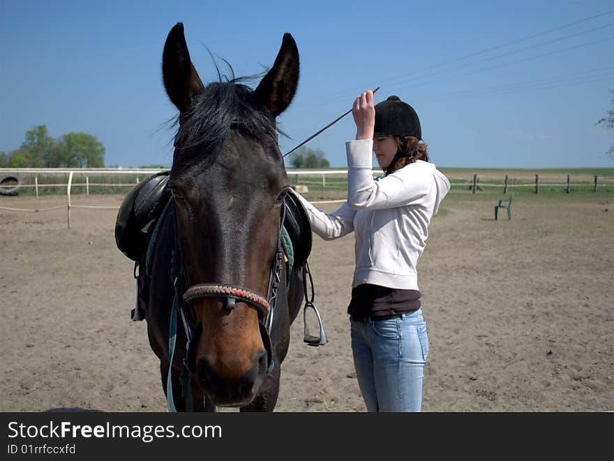 The front side image of a horse being prepared for riding by a young woman - girl and her horse. The front side image of a horse being prepared for riding by a young woman - girl and her horse