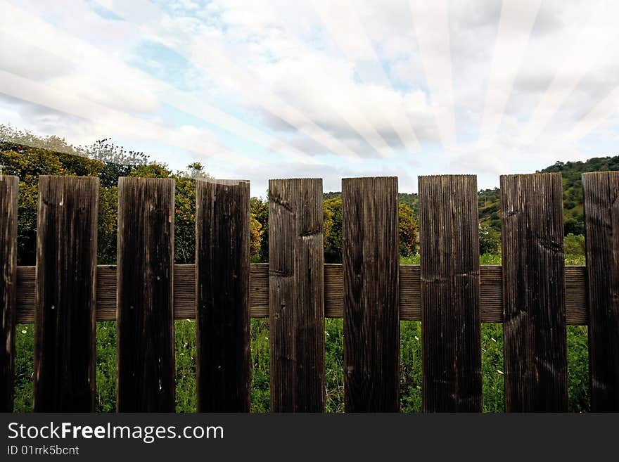 Orange field and fence