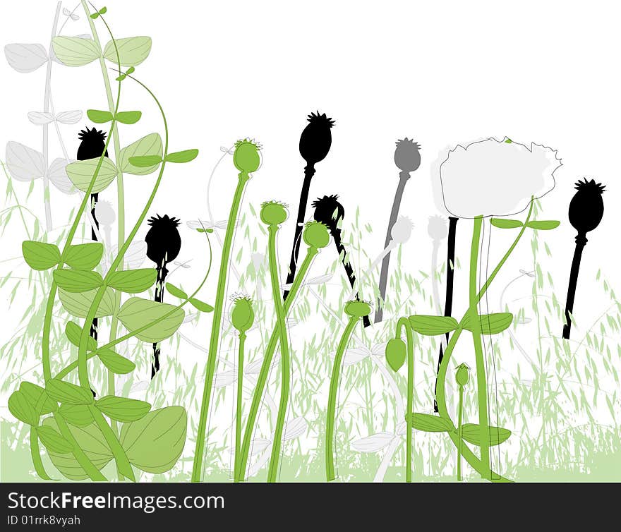 Field under of corn poppy and grass and cereals