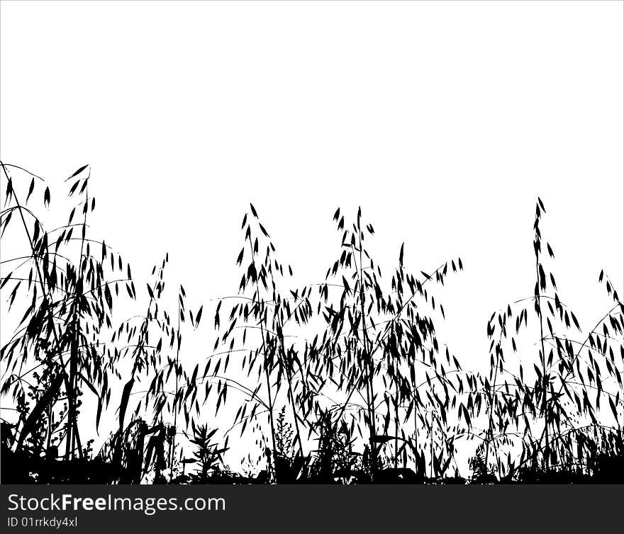 Illustration of Field under of grass and cereals