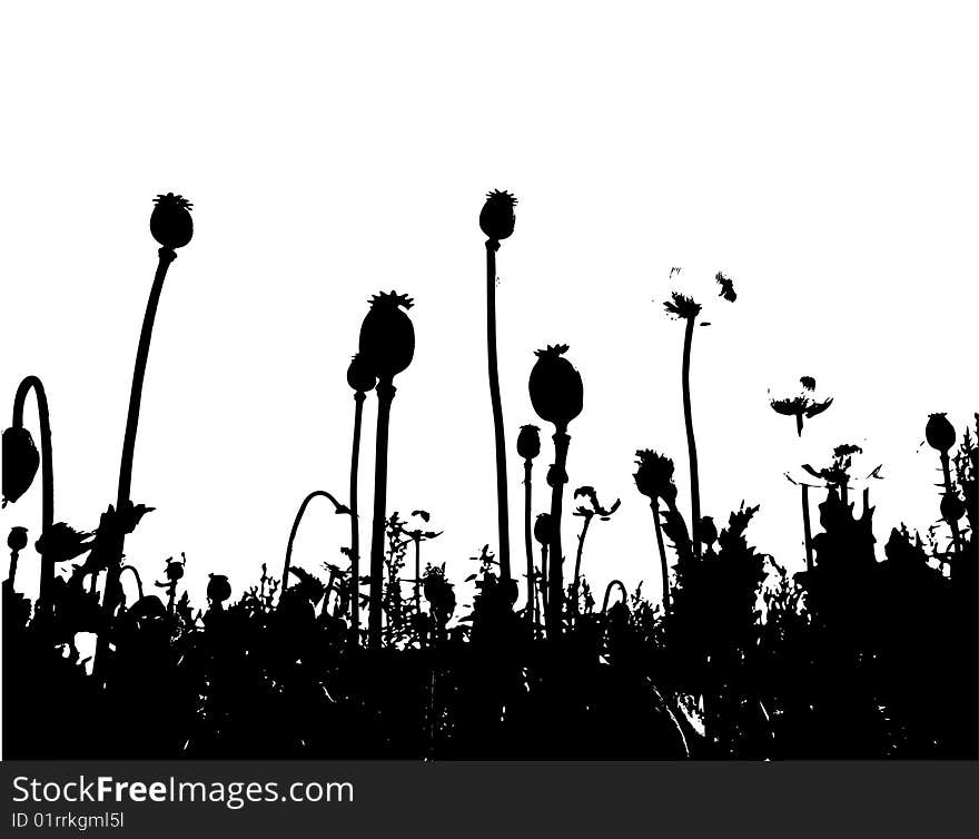 Field under of corn poppy and grass and cereals