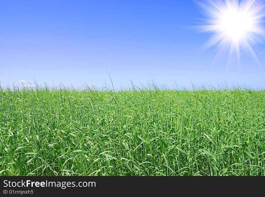 Green Field And Beautiful Sunset