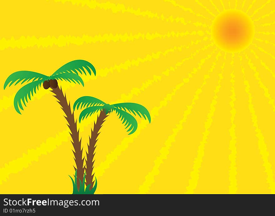 The sun and palm trees. The sun and palm trees