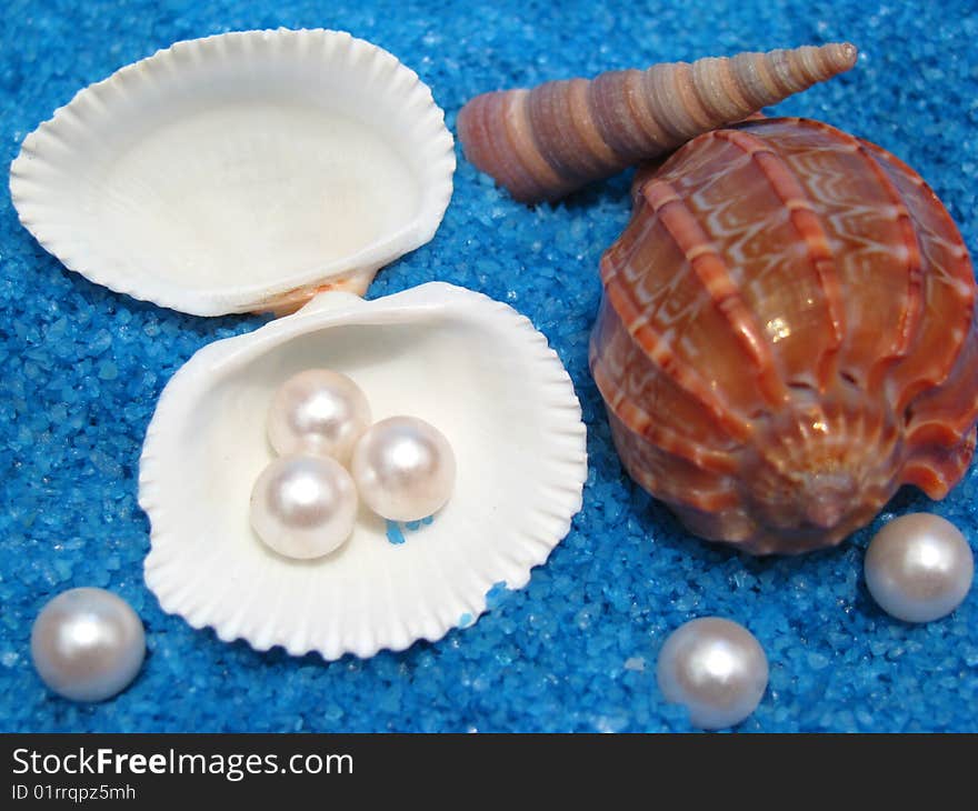 Beautiful sea photo of shells and pearls on interesting sandy blue background. Beautiful sea photo of shells and pearls on interesting sandy blue background