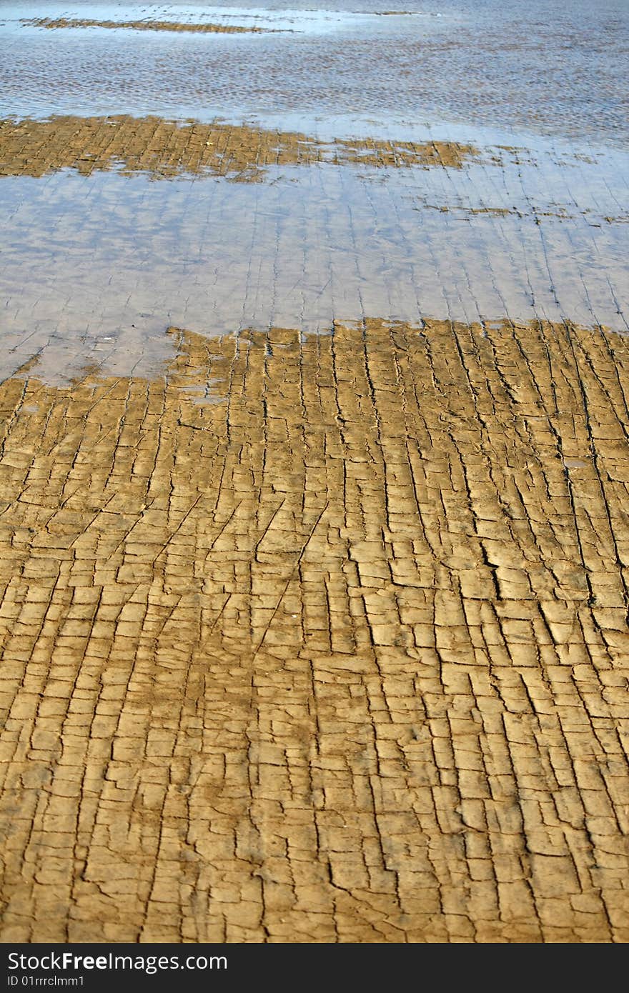 Cracked Ground With Pool Of Water