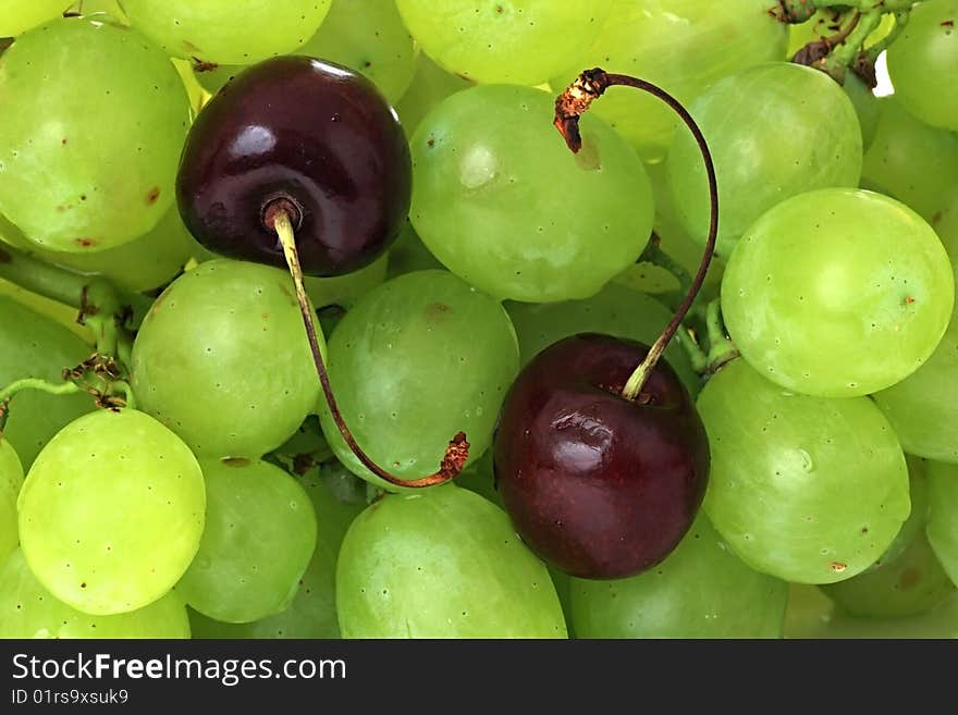 Cherry and green vine.