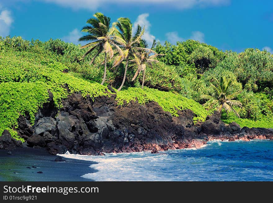 A gorgeous tropical beach on a bright sunny day