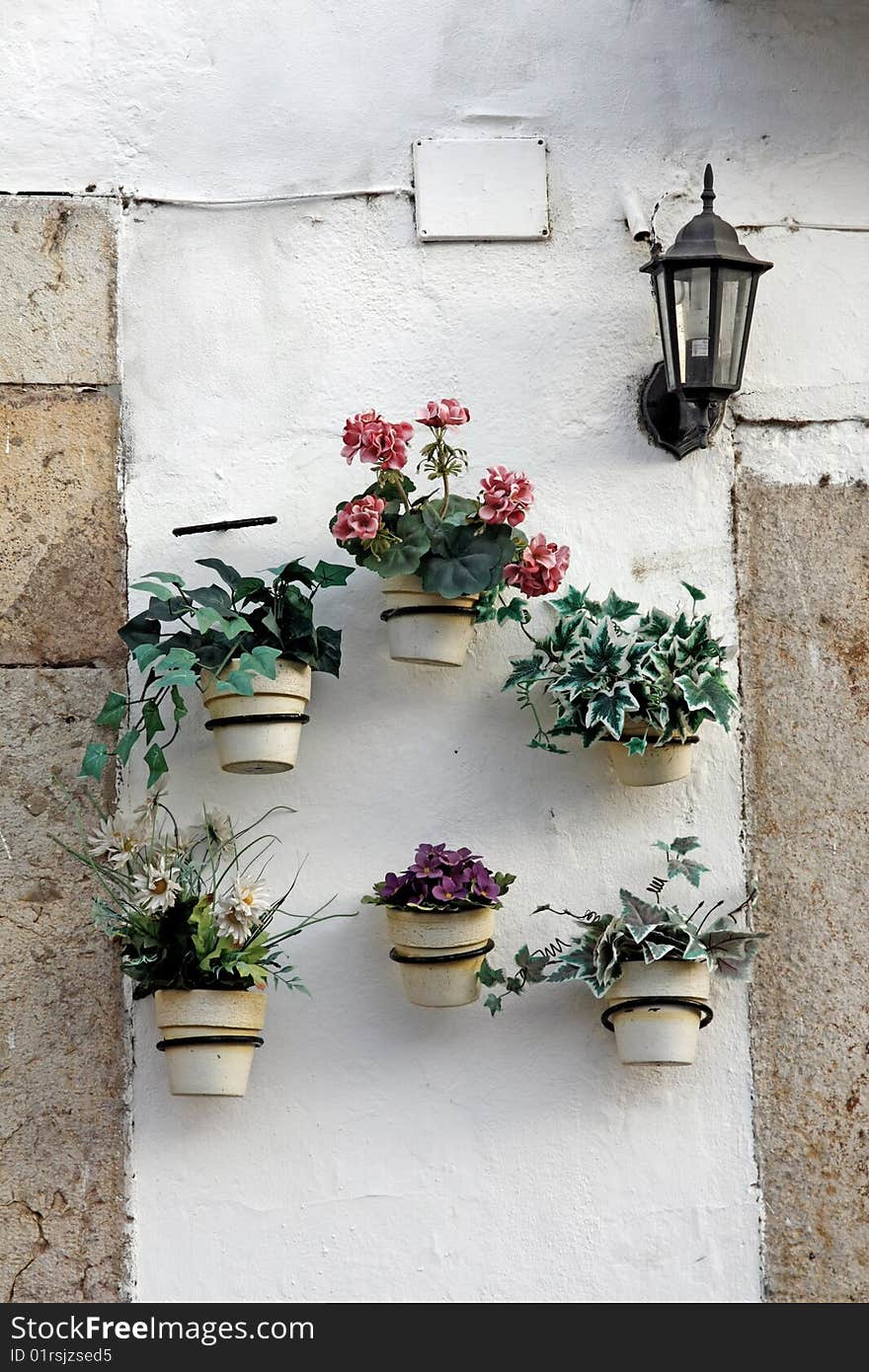 Several flower pots aligned on a wall.