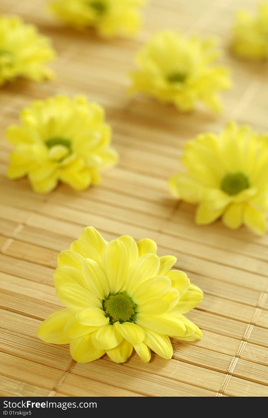 Yellow spring flowers on bamboo background.