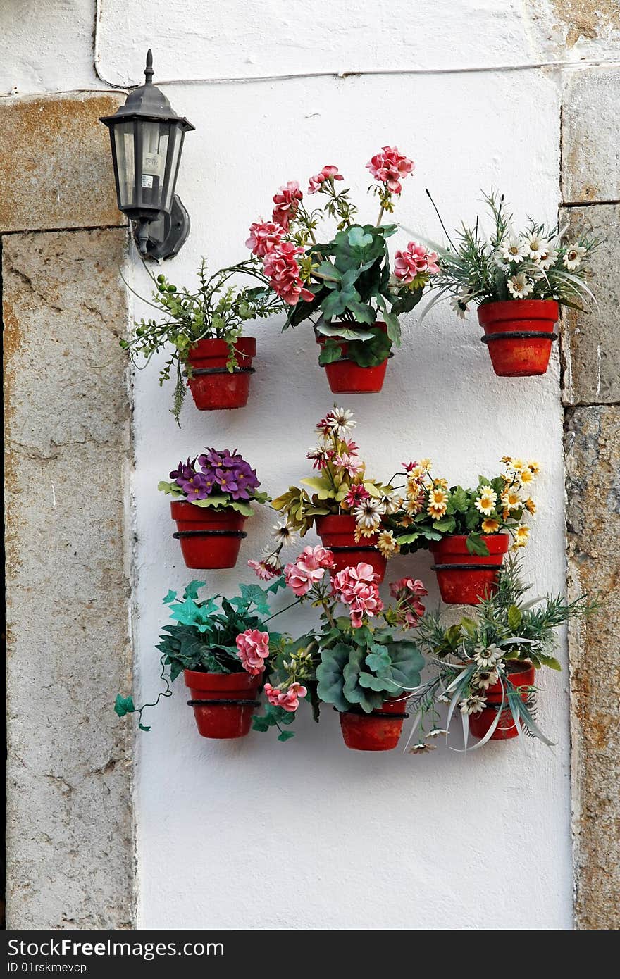 Several flower pots aligned on a wall.