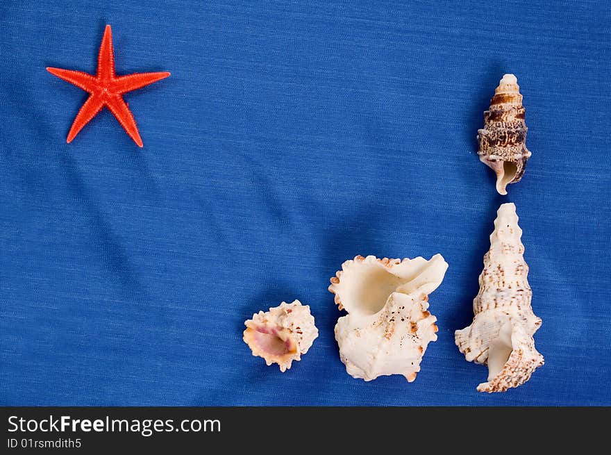 Decoration of seashells on blue backgrounds of textille, red starshell on up left corner