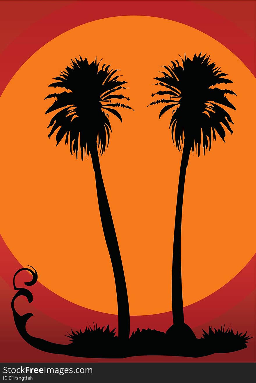 Two sunset palms