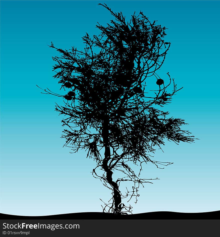 Vector illustration of a tree. Vector illustration of a tree