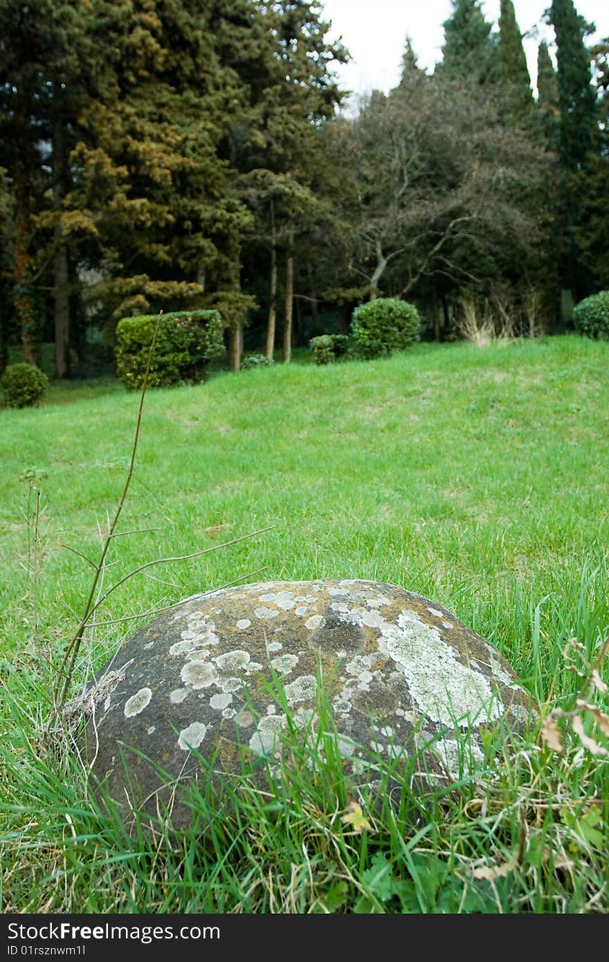 Gray stone on the green grass in forest. Gray stone on the green grass in forest