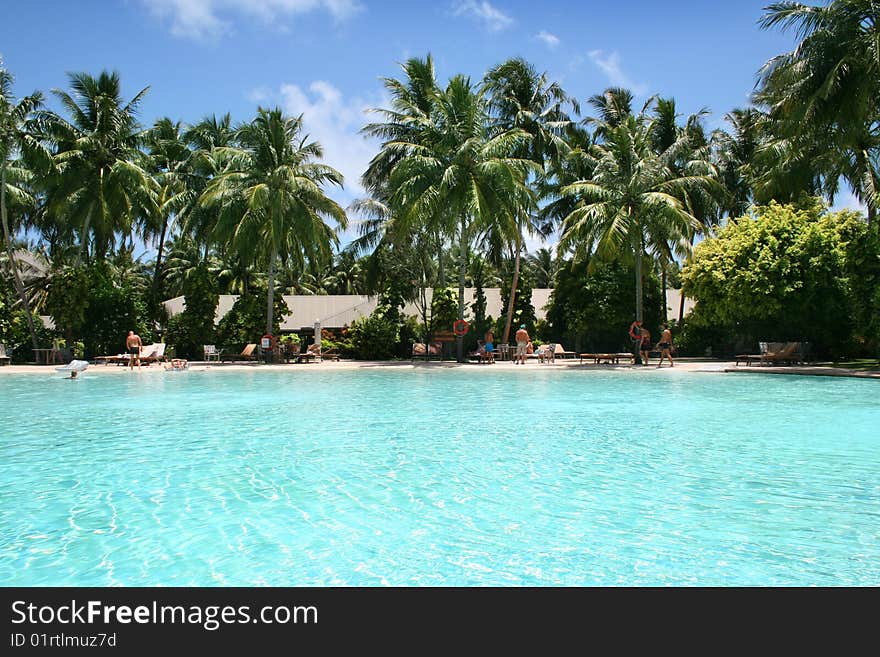 Tropical swimming pool and beautiful water with palms