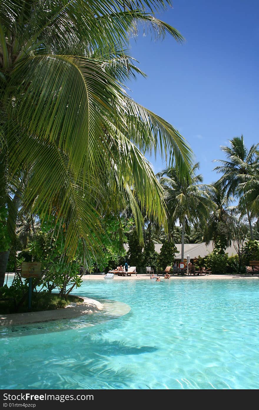 Tropical swimming pool and beautiful water with palms