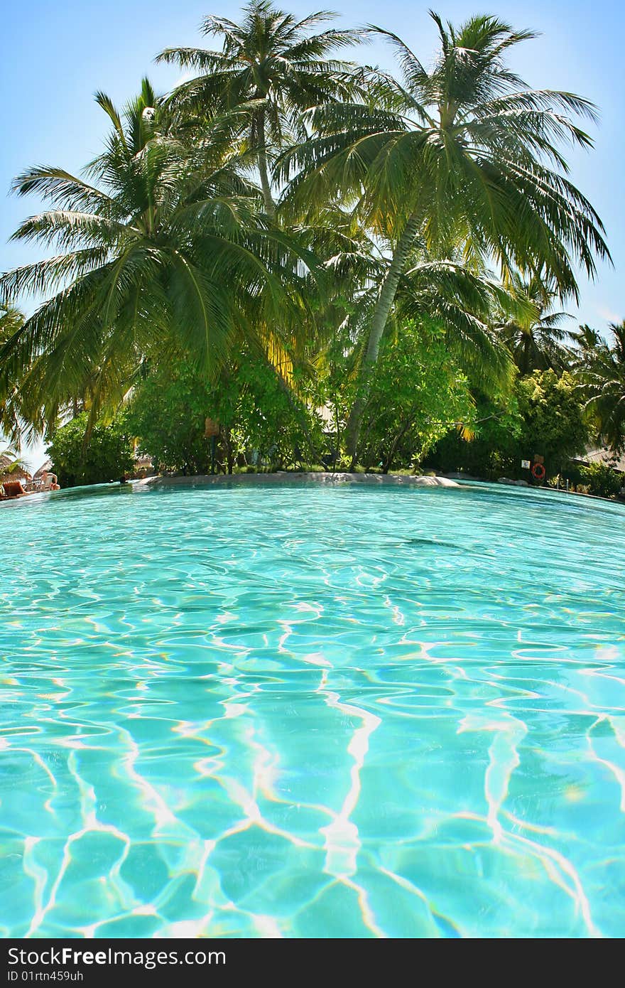 Tropical swimming pool and beautiful water with palms