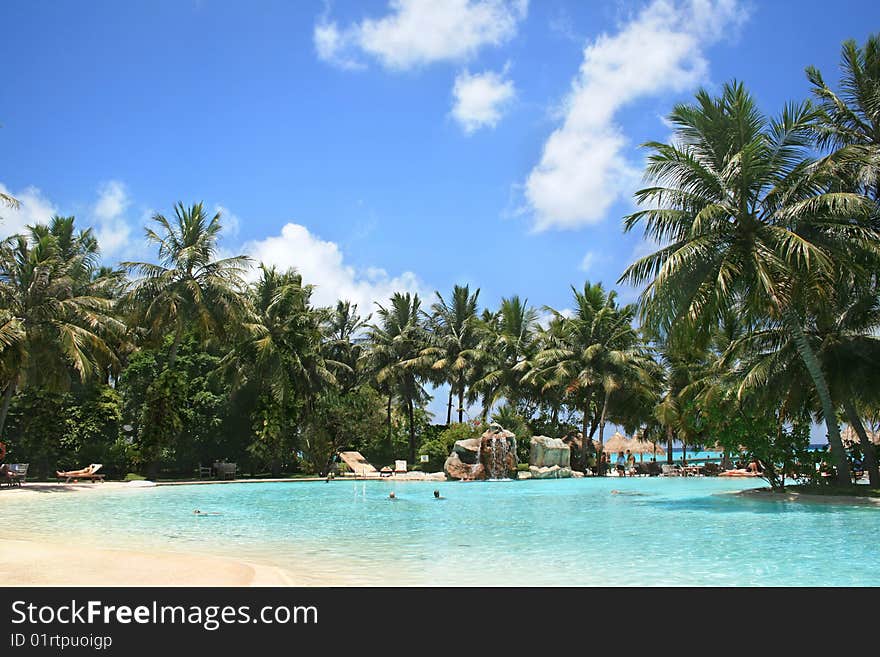 Tropical swimming pool and beautiful water with palms