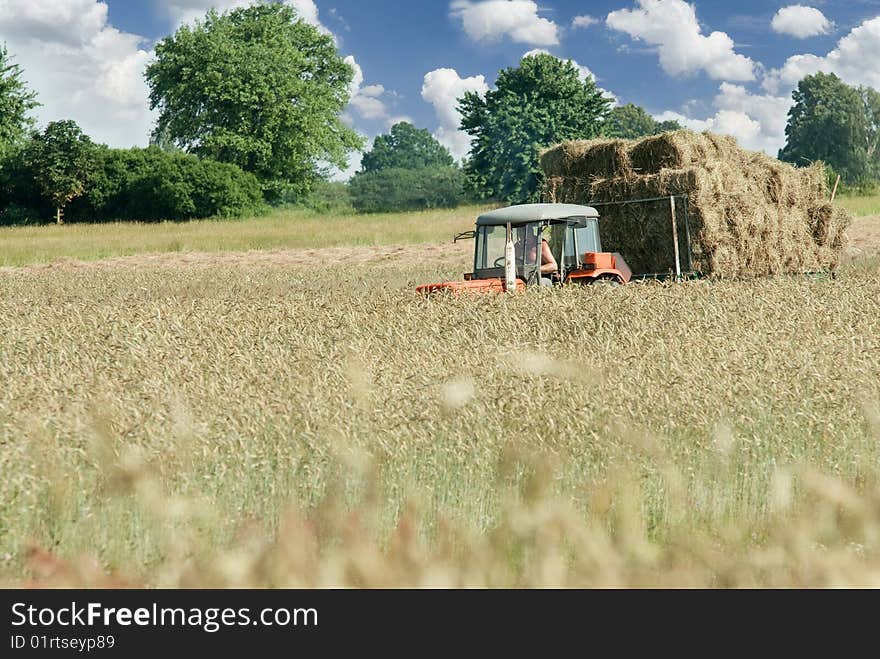 Working in the field