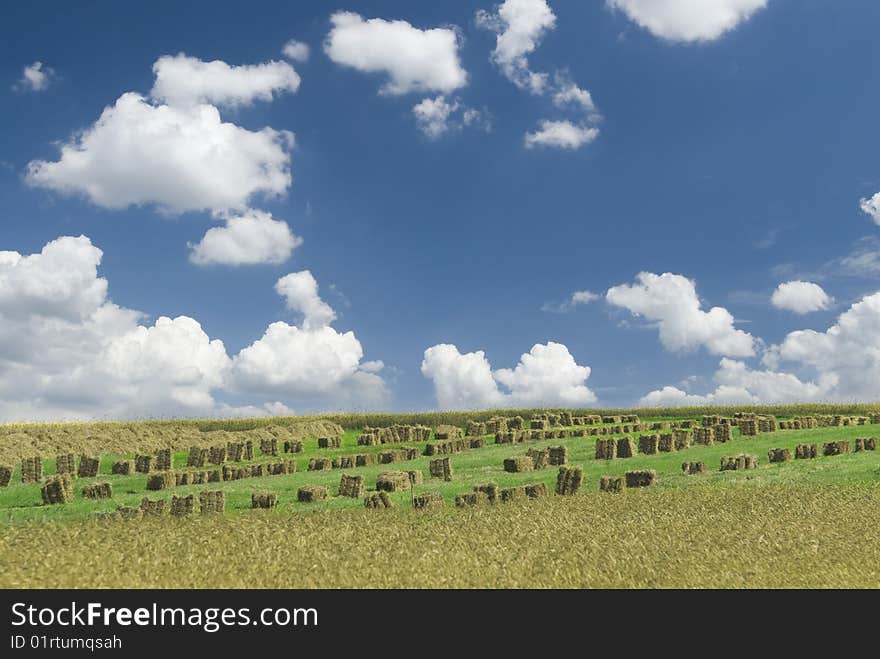 Hay on a green meadow. Hay on a green meadow