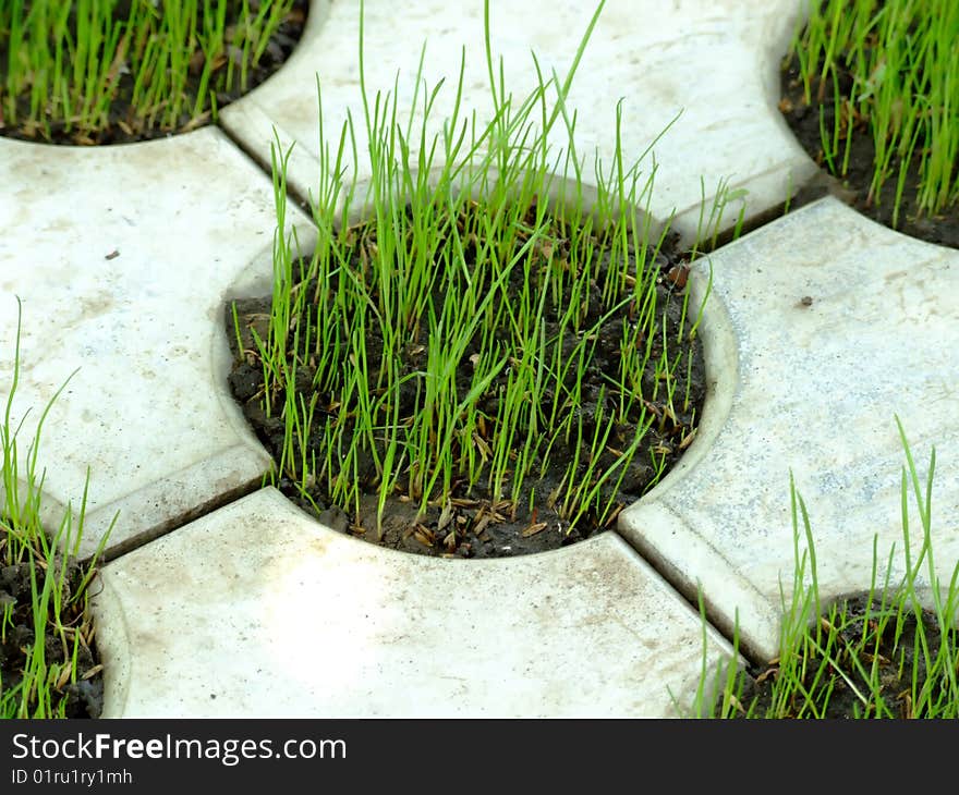 Concrete Grass Pattern